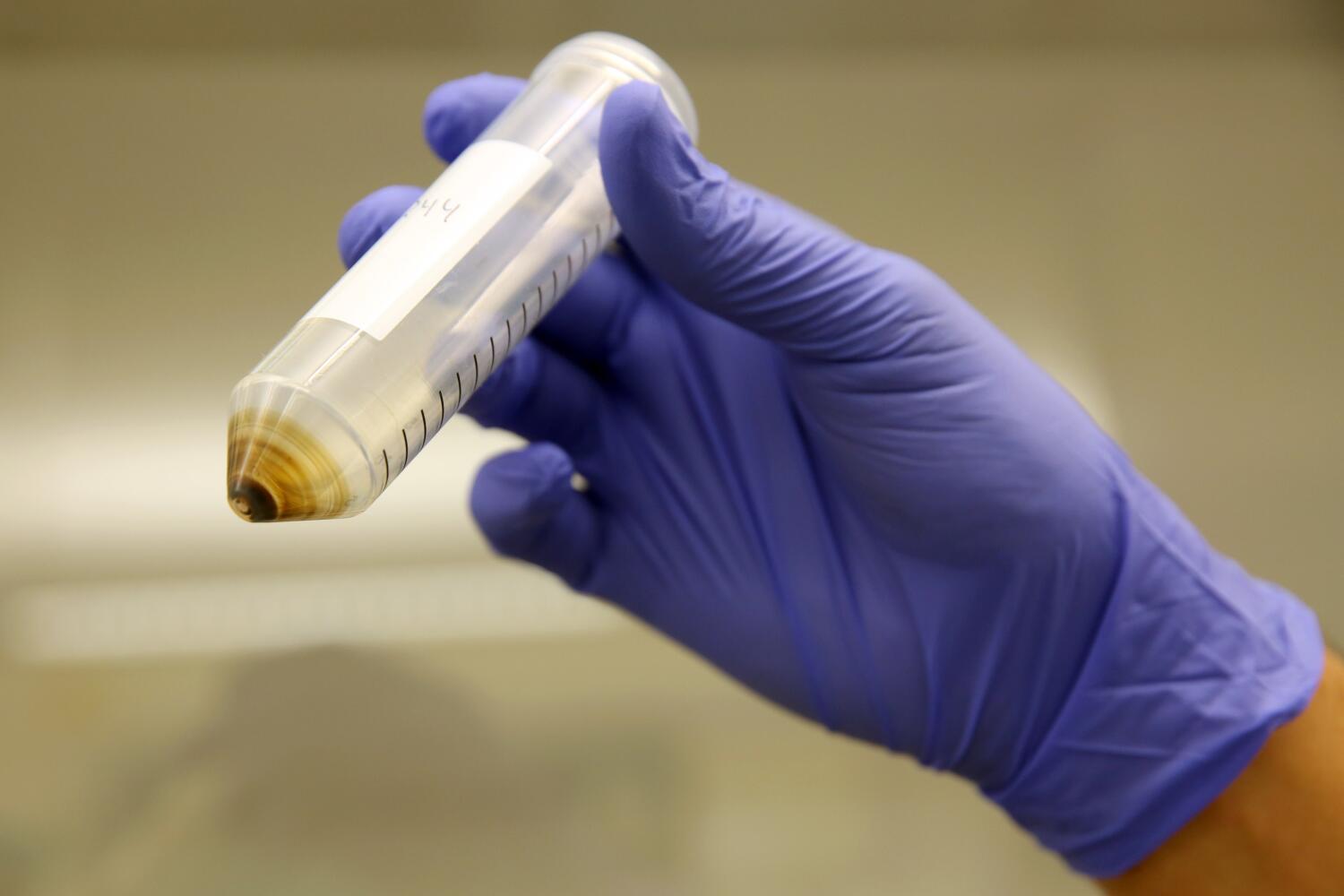 Nearly 40% of California produce contains PFAS pesticides, report finds